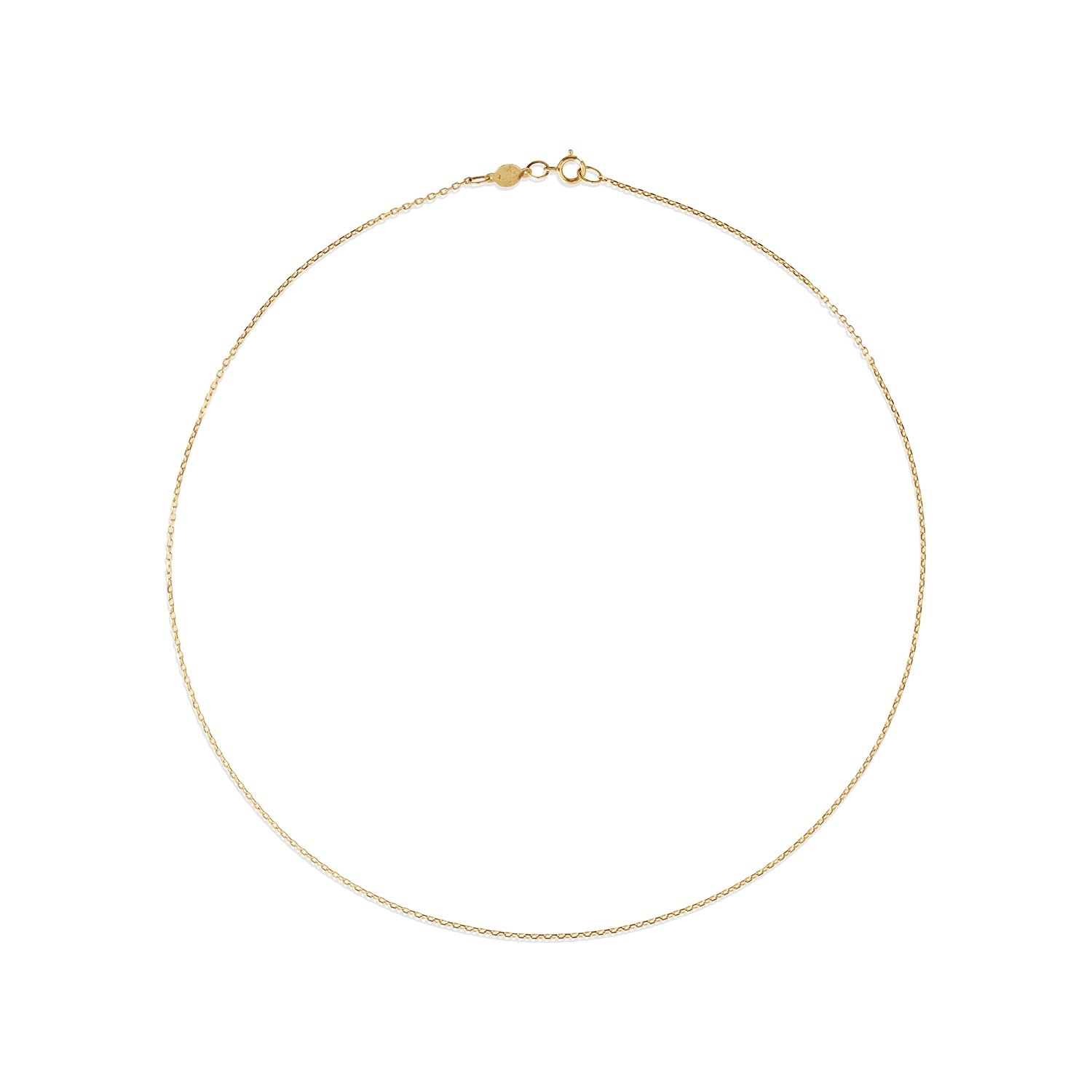 14K Gold Chain: Forzantina